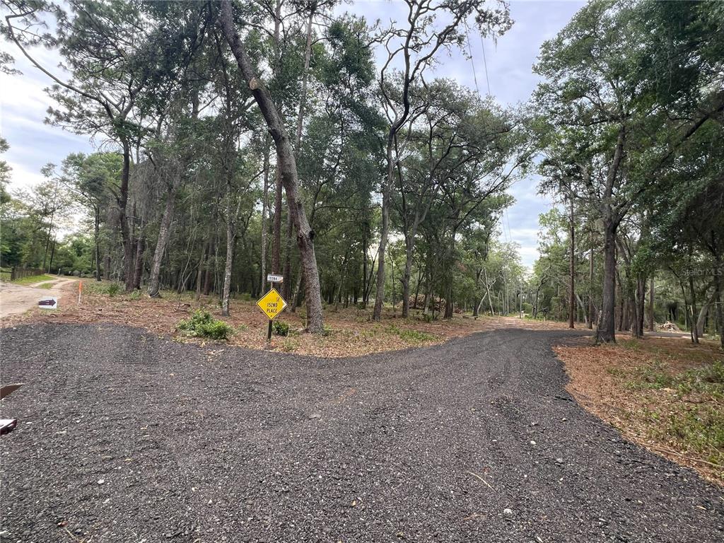 A gravel road forks through a wooded area with a yellow street sign — SE 152ND - (RAVENSWOOD RD) PARCEL B & C, LOTS 16, 17 PLACE, ALTOONA, FL