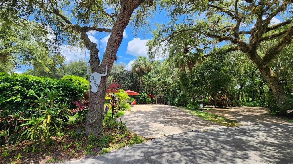 A paved driveway leads toward a shed surrounded by lush trees and landscaping — 389 LONGHORN DRIVE, RIVER RANCH, FL