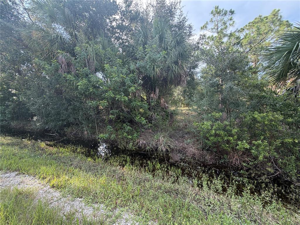 A narrow drainage ditch runs alongside a grassy area with dense trees and palm foliage — 28202 ALATADENA DRIVE, PUNTA GORDA, FL