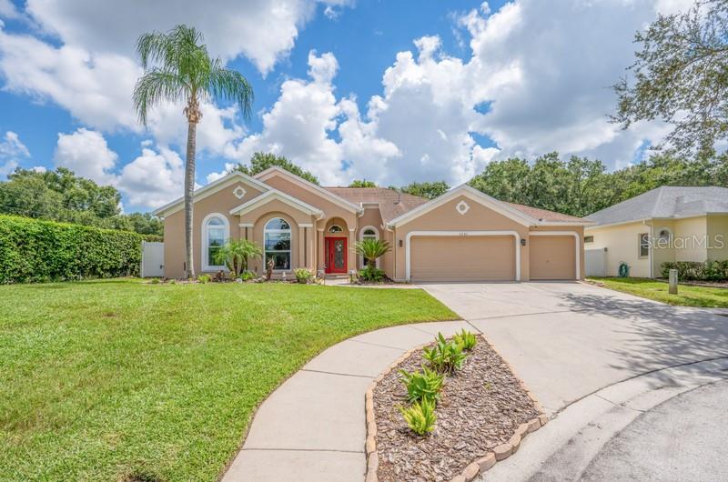 1001 SPLIT SILK STREET, VALRICO, FL — photo 2 of 30