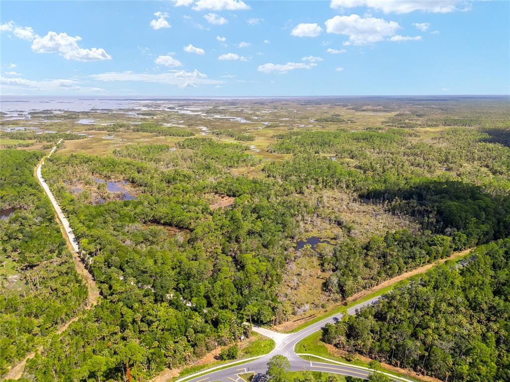 An aerial view of a forested landscape with a road and marshy wetlands in the distance — 0 SE 193RD PLACE, YANKEETOWN, FL