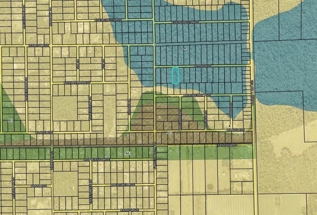 This is a flood zone map showing property lines and street names in a residential area — 3853 APPLE AVENUE, BUNNELL, FL
