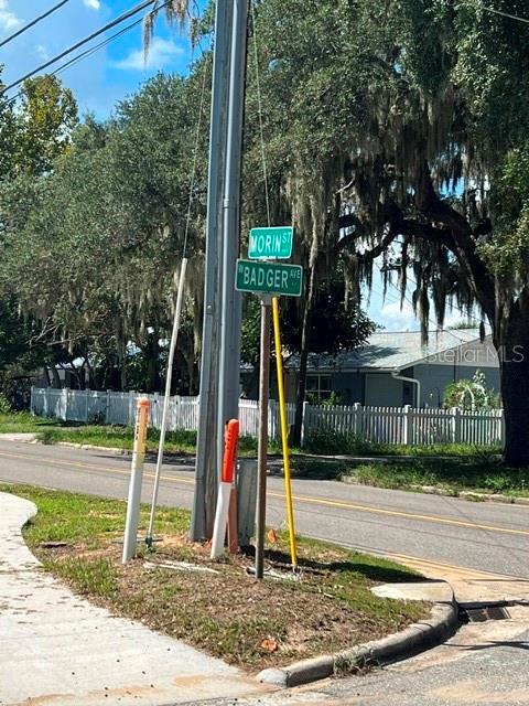 19 W BADGER AVENUE, EUSTIS, FL — photo 2 of 8