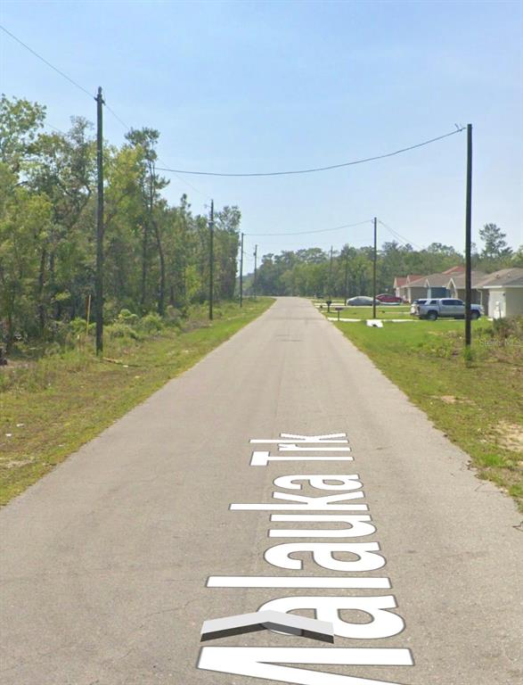 A paved road stretches into the distance, flanked by wooded areas and residential houses — MALAUKA TRAK, OCKLAWAHA, FL