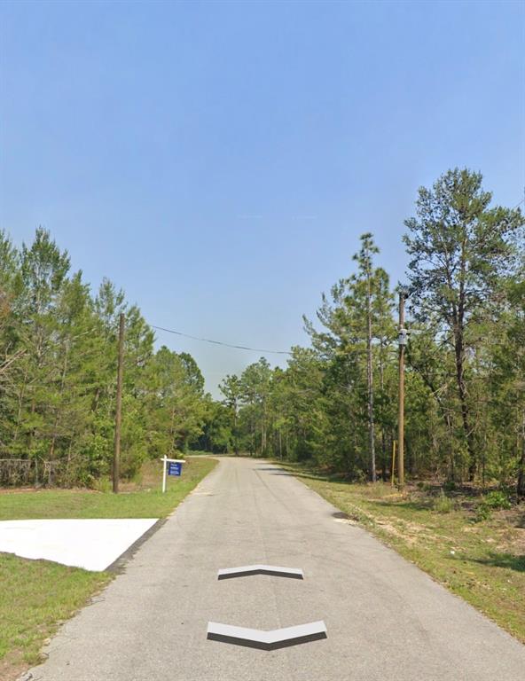 A paved road leads through a wooded area with a real estate sign on the left — MALAUKA TRAK, OCKLAWAHA, FL