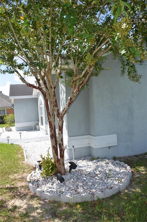 A crape myrtle tree grows in a white rock garden bed beside a gray house — 9916 SW 56TH AVENUE, OCALA, FL