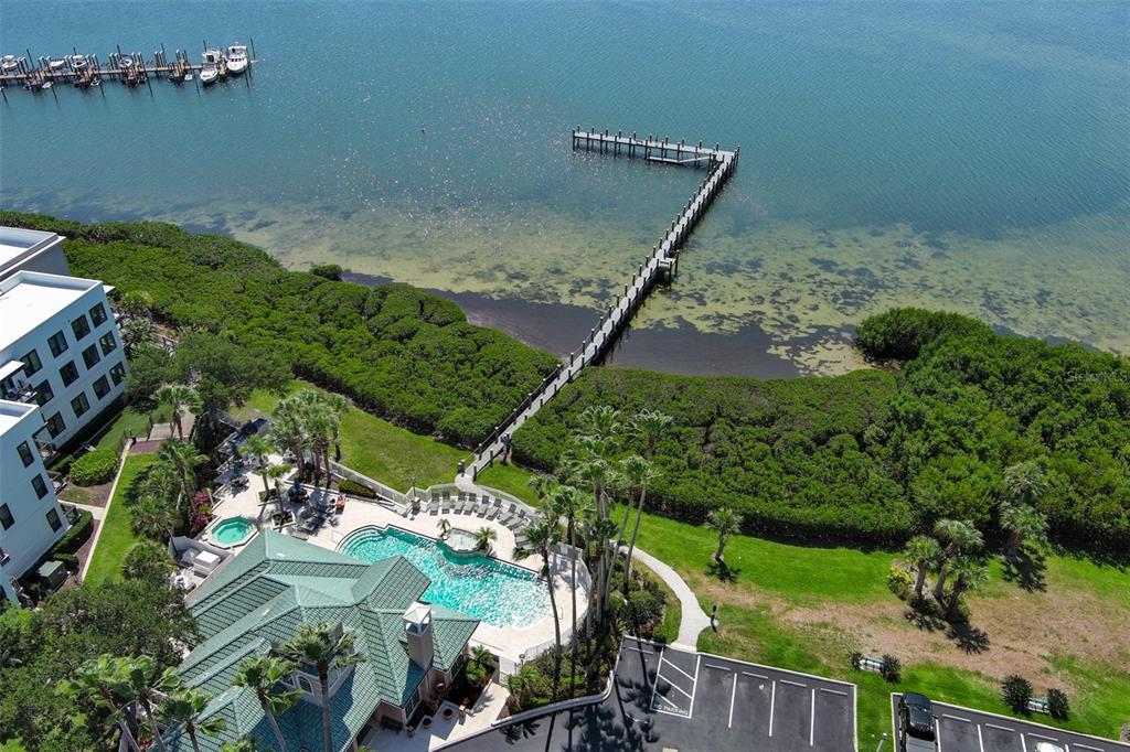 An aerial view shows a multi-building residential complex with green roofs near a large bay — 3205 BAY CLUB CIRCLE UNIT 3205, TAMPA, FL