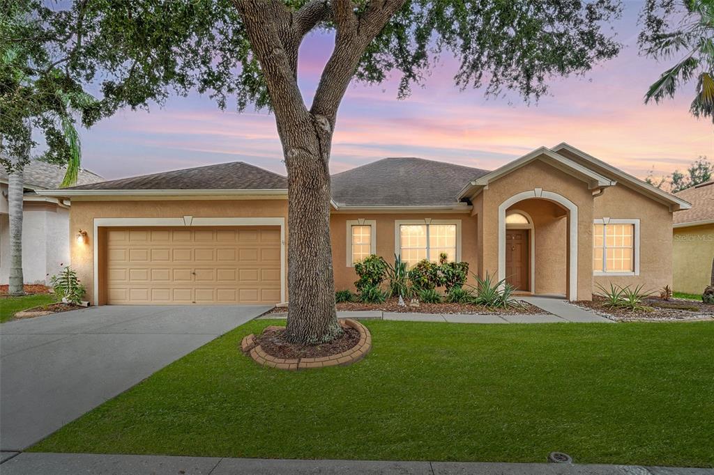 A single-story tan stucco house with a two-car garage and a large front yard tree — 10903 WILDCAT DRIVE, RIVERVIEW, FL