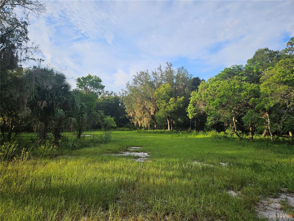 A grassy, open field is surrounded by a dense forest of trees and palm plants — SNOW HILL RD ROAD, GENEVA, FL