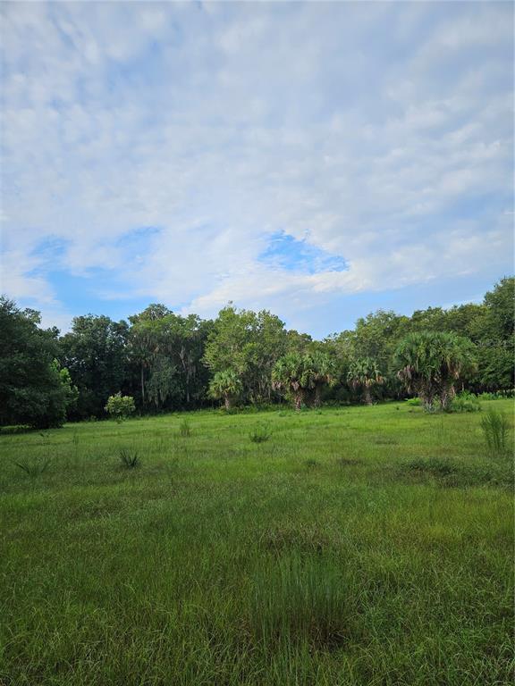 A grassy field leads to a line of trees and palm trees under a cloudy sky — SNOW HILL RD ROAD, GENEVA, FL