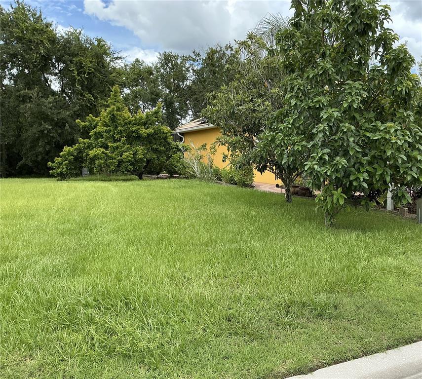 21049 LOS CABOS COURT, LAND O LAKES, FL — photo 2 of 5