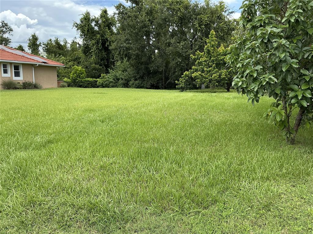 21049 LOS CABOS COURT, LAND O LAKES, FL — photo 3 of 5