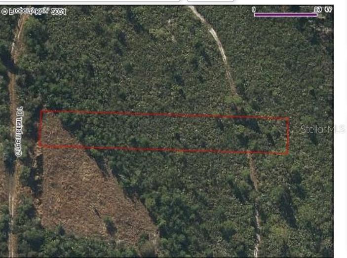 An aerial map shows a rectangular plot of land outlined in red near a dirt road — 1101 GREENBRIAR DRIVE, CHRISTMAS, FL