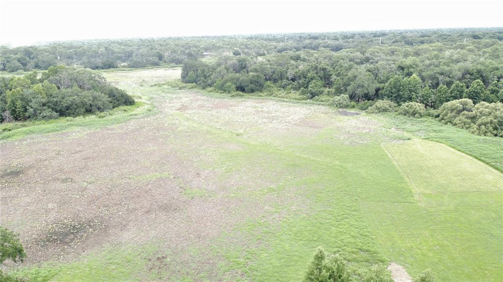 An aerial view shows a large, grassy field bordered by dense woods and trees — 1016 LAKESIDE DR. DRIVE, APOPKA, FL