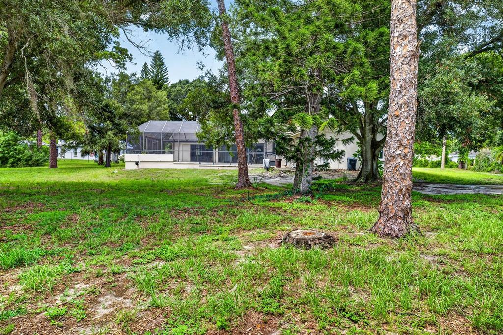 A grassy backyard features a house with a screened-in pool enclosure and several large trees — 6320 66TH AVENUE N, PINELLAS PARK, FL