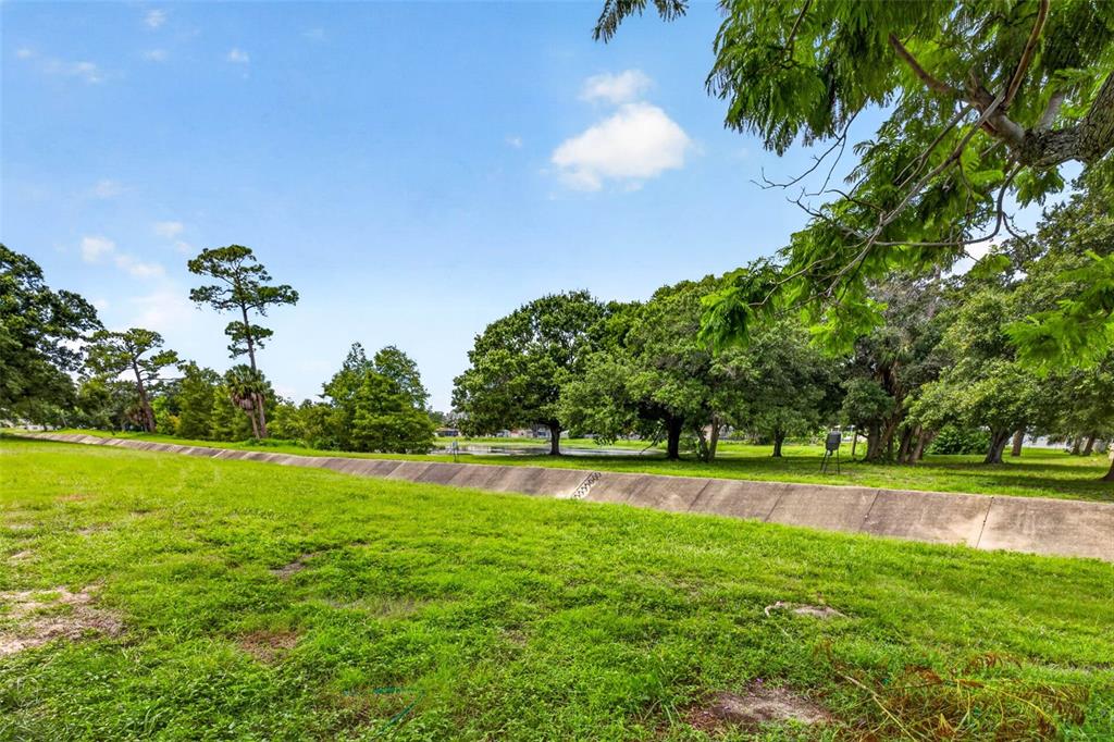 A grassy field features a concrete drainage ditch leading toward a line of mature trees — 6320 66TH AVENUE N, PINELLAS PARK, FL