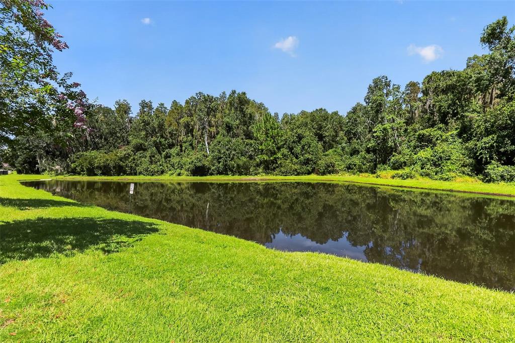 1677 LUDINGTON AVENUE, WESLEY CHAPEL, FL — photo 4 of 30