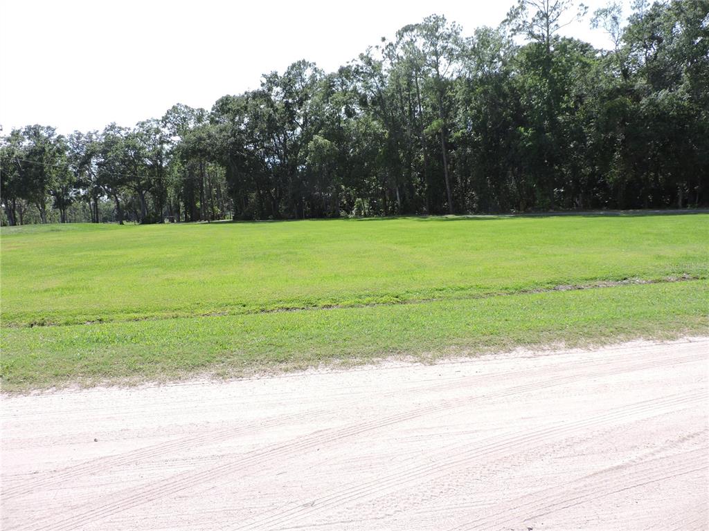 A large, flat, grassy vacant lot bordered by a dense line of mature trees — 400 S COUNTY ROAD 115, BUNNELL, FL