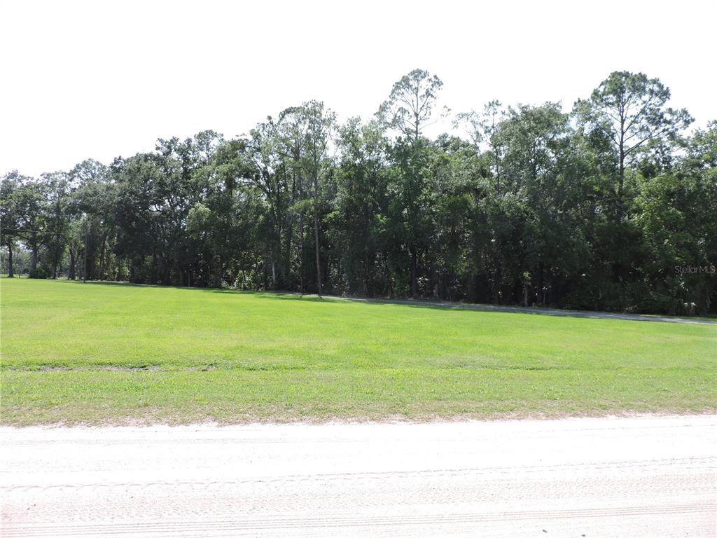 A grassy, open lot is bordered by a dense line of mature trees — 400 S COUNTY ROAD 115, BUNNELL, FL
