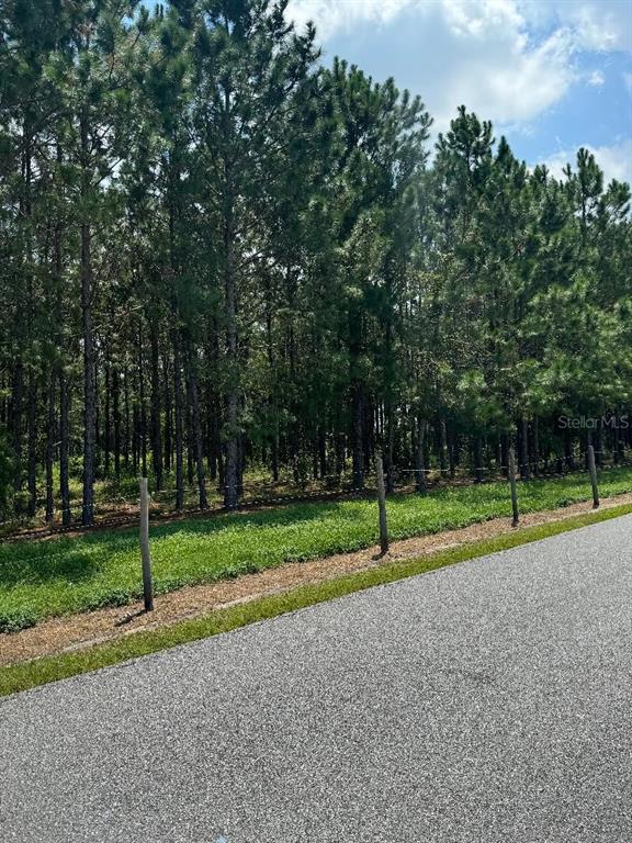 A paved road runs alongside a grassy strip and a fenced, wooded lot — CR 227 ROAD, OXFORD, FL