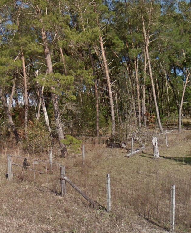 A wire fence borders a grassy field in front of a dense pine forest — 11851 SE 138TH TERRACE, OCKLAWAHA, FL
