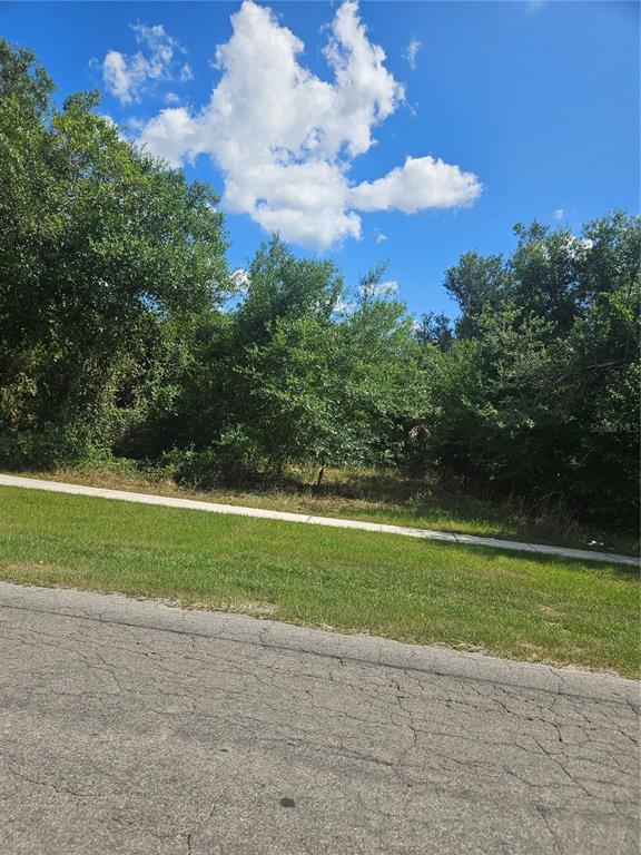 A view from the street of a vacant, wooded lot bordered by a concrete sidewalk — E GIBSON STREET, ARCADIA, FL