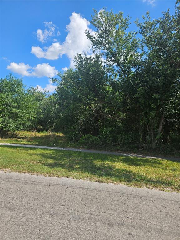 A vacant, wooded lot sits behind a sidewalk and a paved street under a blue sky — E GIBSON STREET, ARCADIA, FL