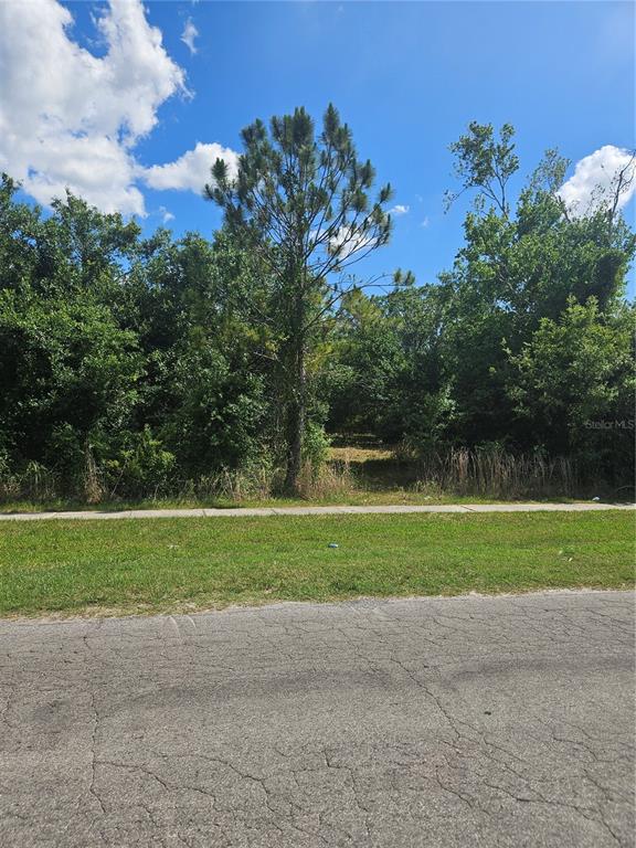 A vacant, wooded residential lot sits behind a sidewalk and a paved street — E GIBSON STREET, ARCADIA, FL