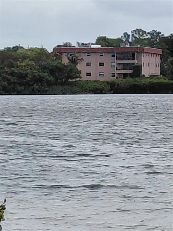 A multi-story apartment building stands on a grassy bank overlooking a body of water — 1723 GULF ROAD UNIT 301, TARPON SPRINGS, FL