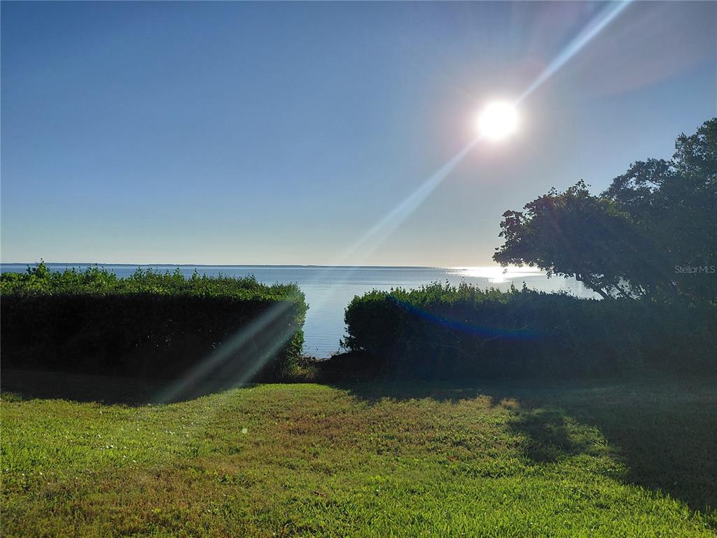 A grassy lawn overlooks a body of water under a bright sun — 1723 GULF ROAD UNIT 301, TARPON SPRINGS, FL