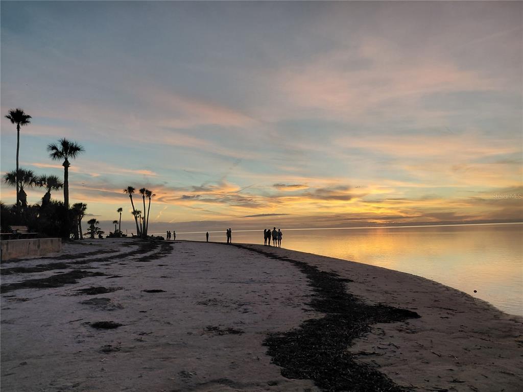 Silhouetted people stand on a sandy beach at sunset with palm trees nearby — 1723 GULF ROAD UNIT 301, TARPON SPRINGS, FL