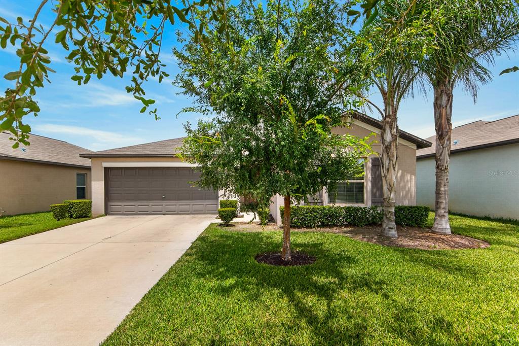 A single-story suburban house with a concrete driveway, a two-car garage, and a front tree — 12826 WILDFLOWER MEADOW DRIVE, RIVERVIEW, FL
