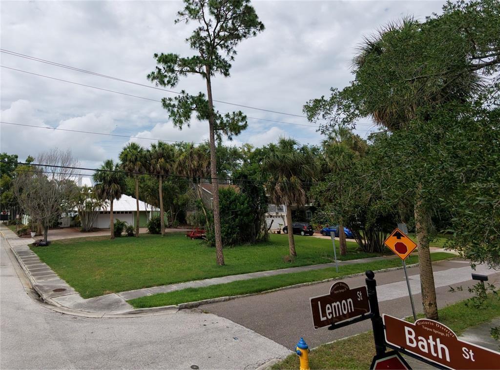 A grassy corner lot features palm trees and street signs for Lemon Street and Bath Street — 0 W LEMON STREET, TARPON SPRINGS, FL