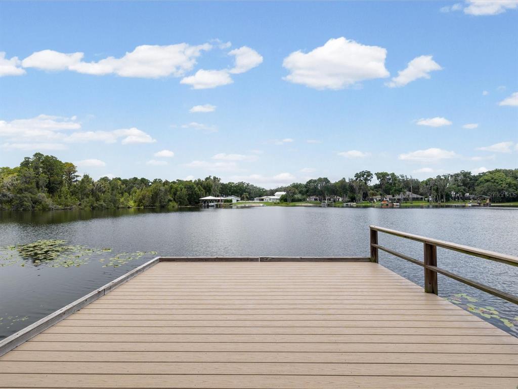 18024 SPENCER ROAD, ODESSA, FL — photo 4 of 30