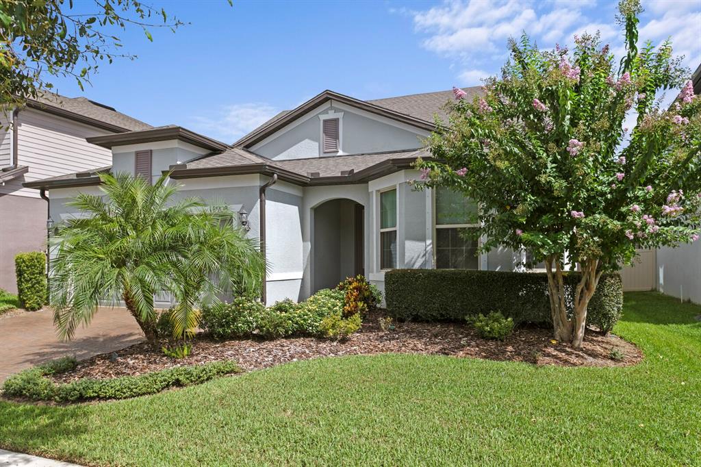 A single-story house with a light gray exterior, a palm tree, and a blooming crape myrtle — 18908 WILLOWMORE CEDAR DRIVE, LUTZ, FL