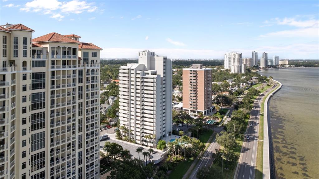 4141 BAYSHORE BOULEVARD UNIT 1502