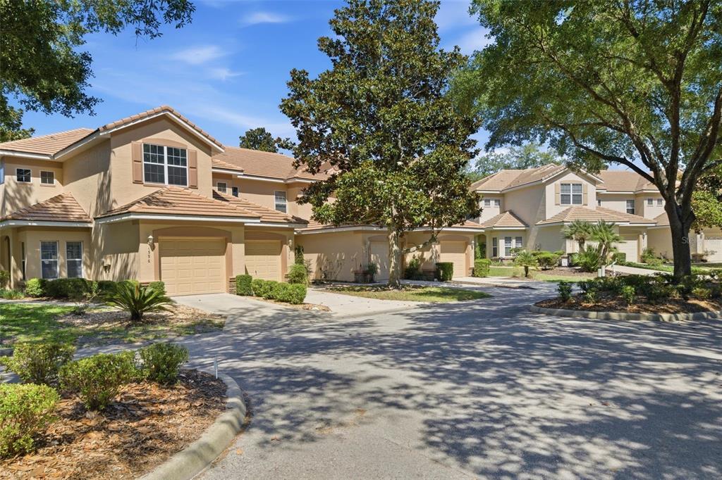 1598 W SPRING MEADOW LOOP