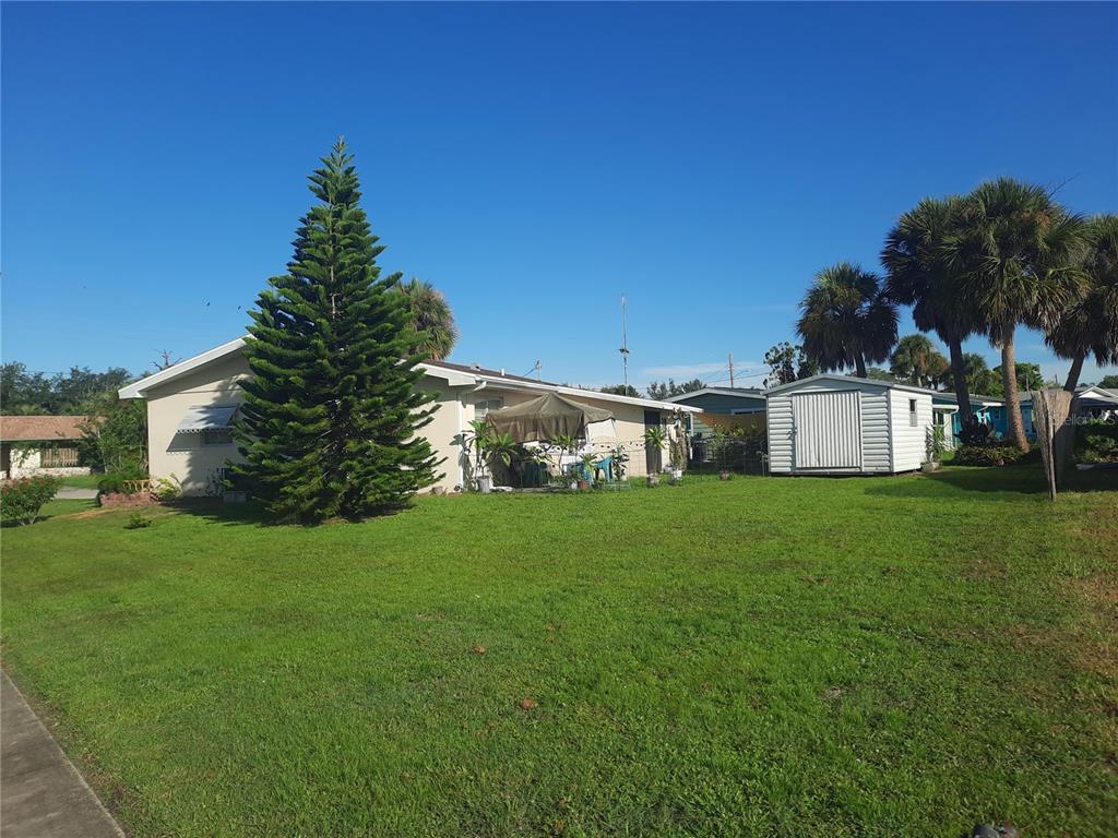 A large pine tree stands in the grassy backyard of a single-story house with a shed — 6554 MALALUKA ROAD, NORTH PORT, FL