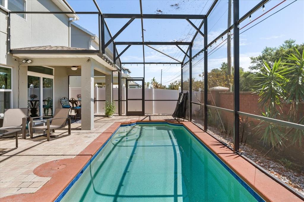 A rectangular swimming pool sits on a paved patio enclosed by a black screen cage — 617 MARSH REED DRIVE, WINTER GARDEN, FL