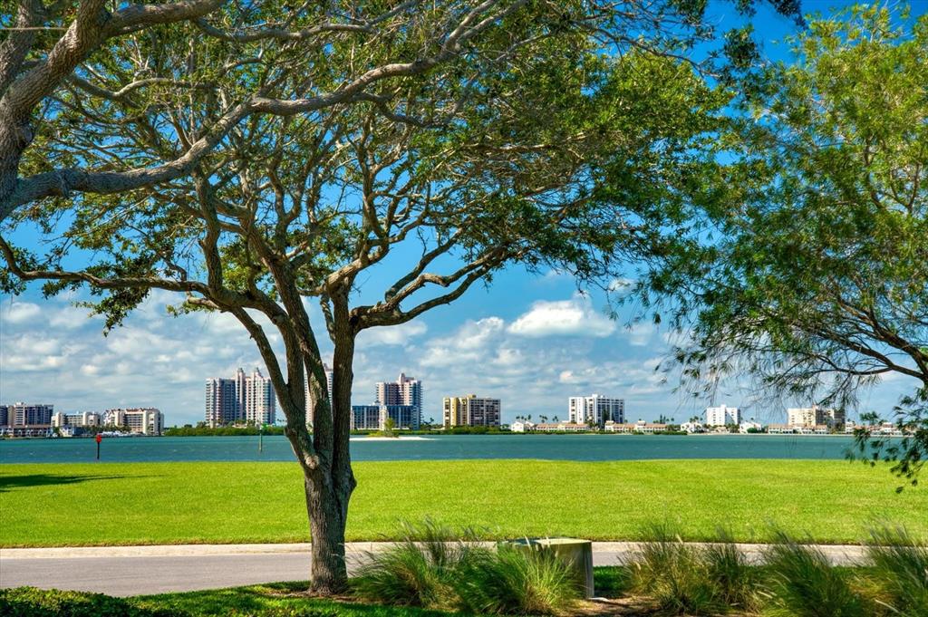 A large tree stands in the foreground of a grassy park overlooking a bay and skyline — ST ANDREWS DRIVE, BELLEAIR, FL