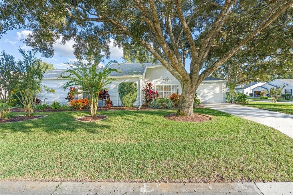 A single-story house with light siding, a two-car garage, and a large front yard tree — 25300 HIBISCUS STREET, LEESBURG, FL