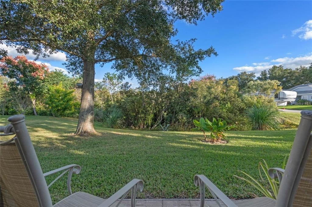 A view from a patio looking out over a grassy backyard toward trees and shrubs — 25300 HIBISCUS STREET, LEESBURG, FL