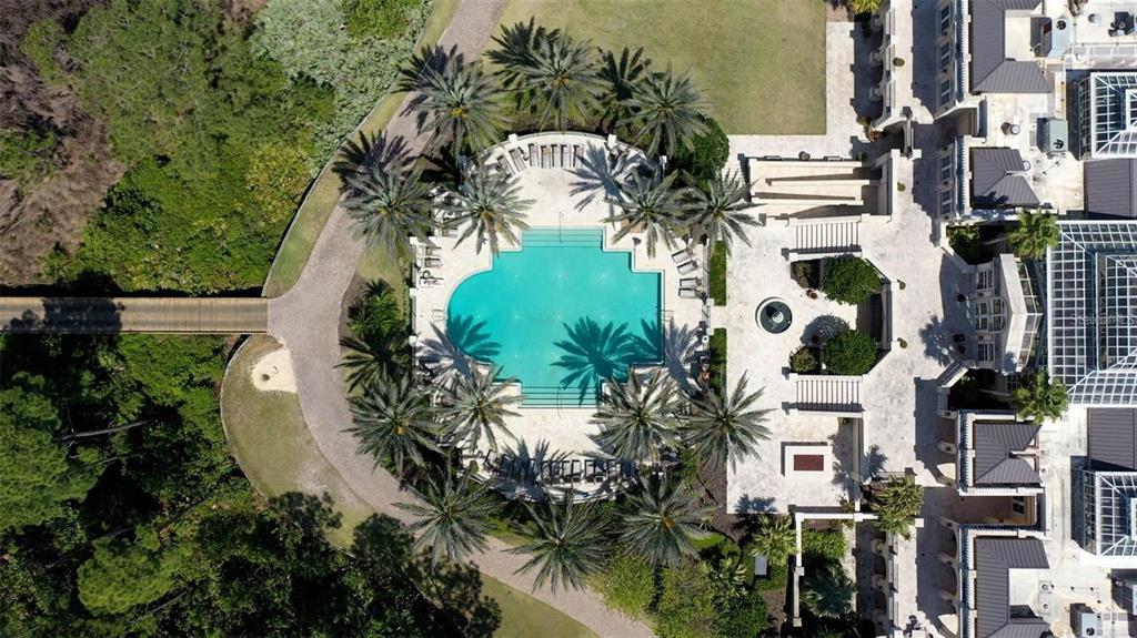 An aerial view shows a swimming pool surrounded by palm trees and a stone patio — 631 MAHOGANY RUN, PALM COAST, FL