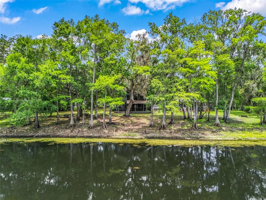 A house sits nestled among tall trees along the edge of a calm, dark river — 10518 SW 64TH AVENUE, BUSHNELL, FL