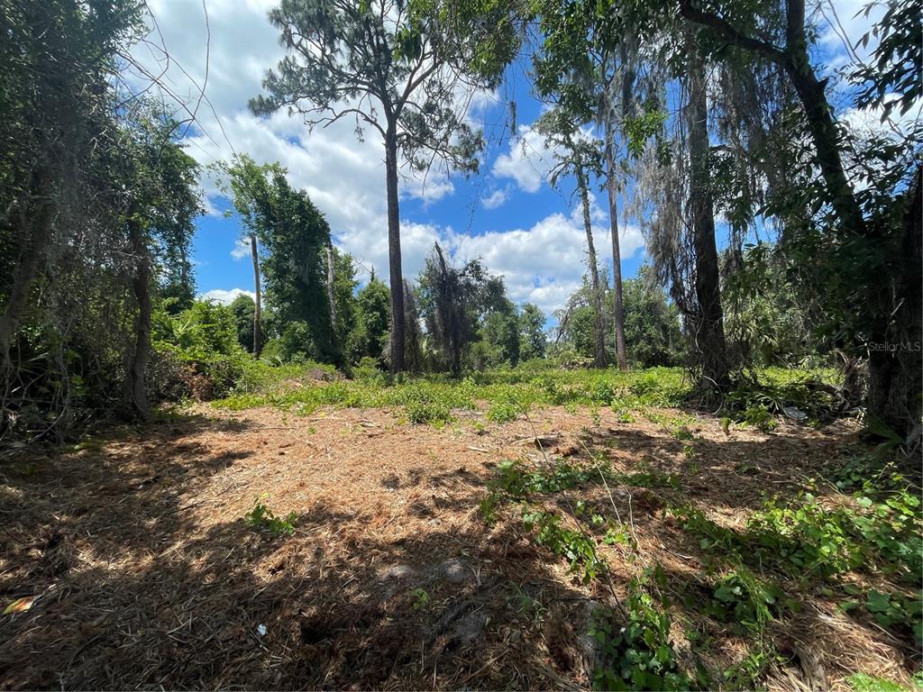 A wooded, partially cleared lot with tall trees under a blue sky with clouds — COUNTY ROAD 42, UMATILLA, FL