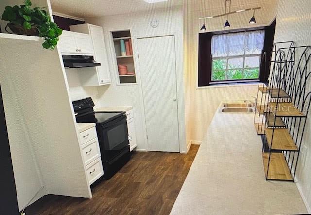 A kitchen with white cabinets, a black stove, wood-look flooring, and a metal shelving unit — 40107 OAKRIDGE DRIVE, LADY LAKE, FL