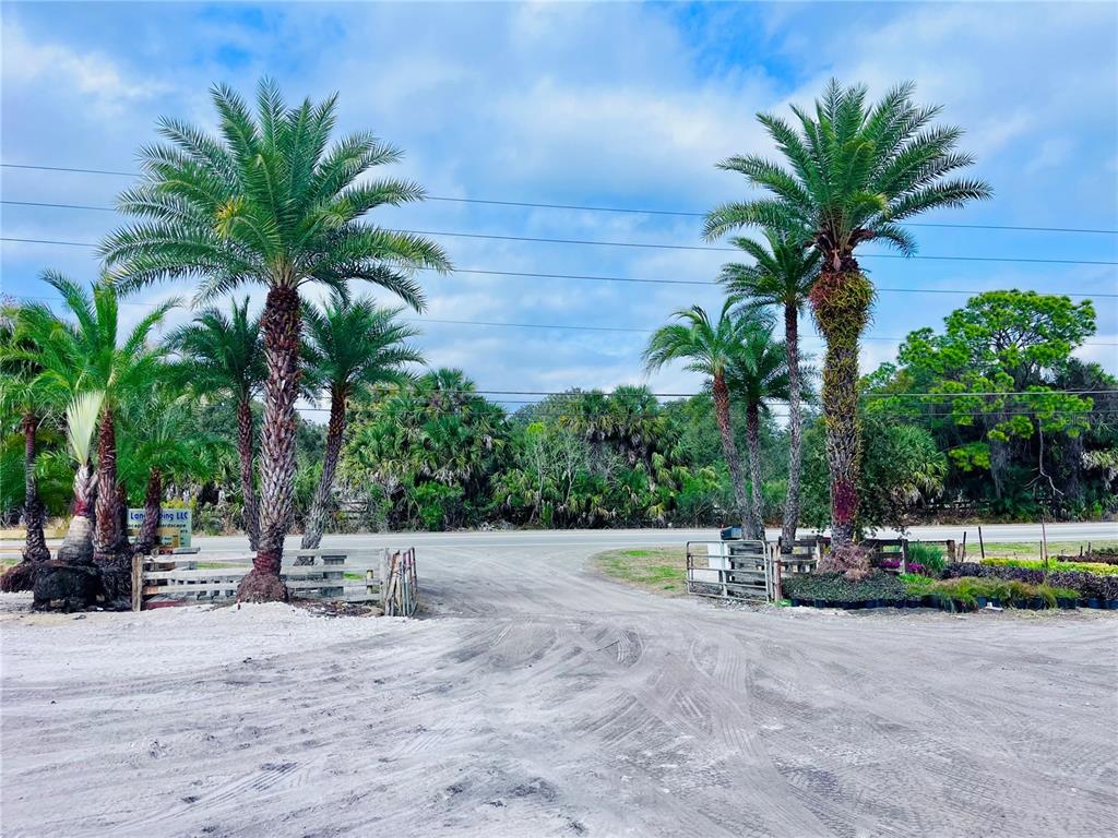 A dirt driveway leads to a gated entrance flanked by tall palm trees — 8440 COUNTY ROAD 48, YALAHA, FL