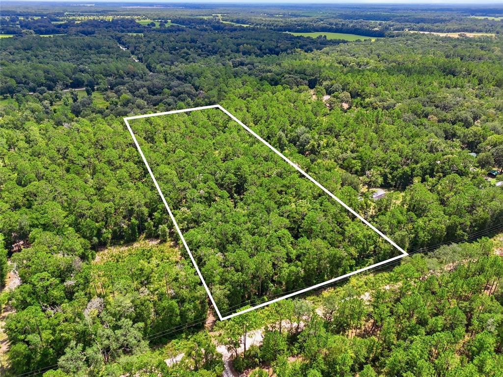 An aerial view shows a rectangular plot of land outlined in white within a forest — 00 SW CENTERVILLE AVENUE, FORT WHITE, FL