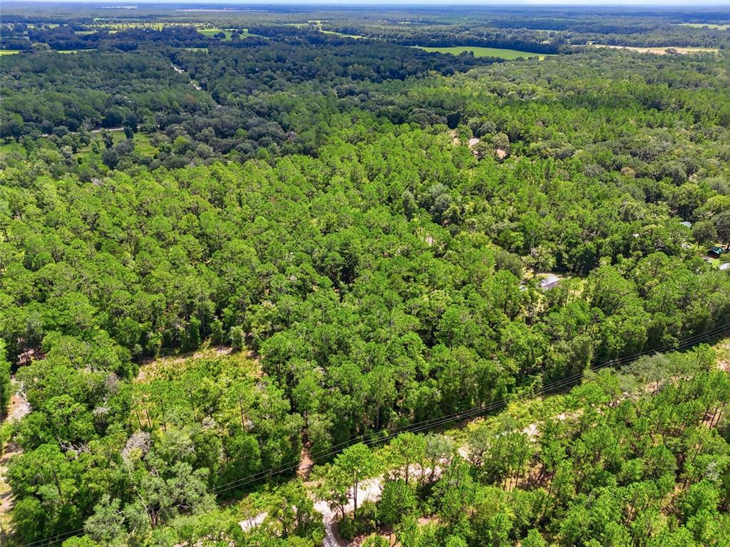 An aerial view shows a dense forest with a dirt road and power lines running through — 00 SW CENTERVILLE AVENUE, FORT WHITE, FL