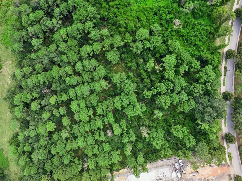 An aerial view shows a dense, wooded lot adjacent to a paved road and construction site — 17131 ETRUSCAN LANE, MONTVERDE, FL